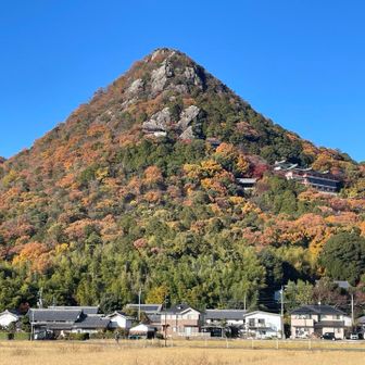 みんな頑張ったね❗️ありがとうございました‼️