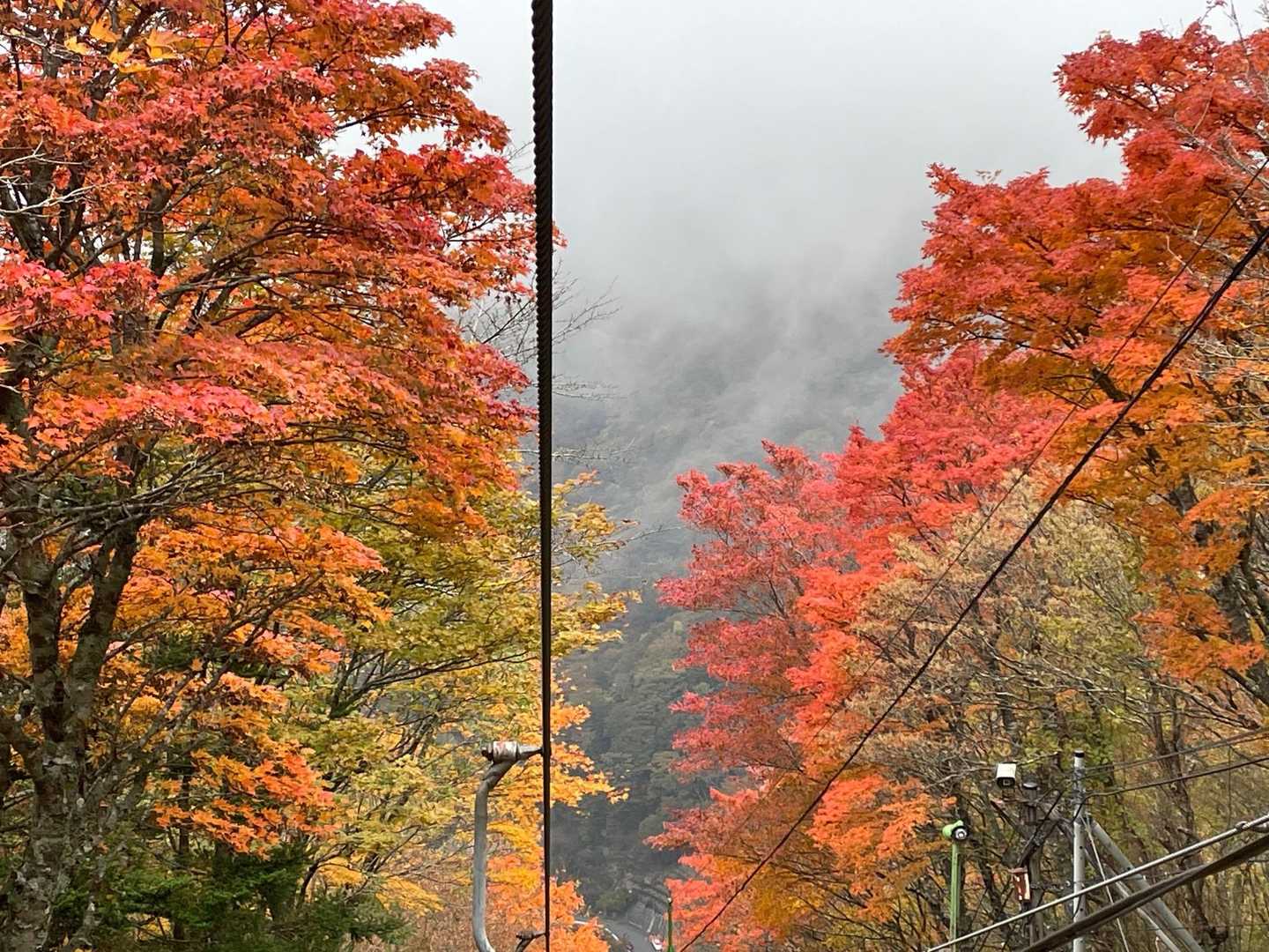 リフトからも紅葉をパシャリ📷