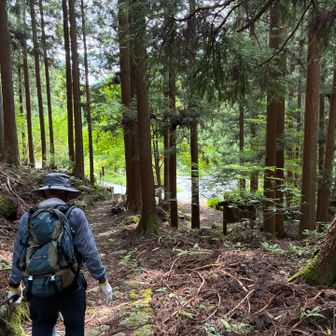 5時間ちょっとで下山。
お爺さんも結局標準タイムでの下山で、さすがは三百名山踏破目前の健脚でした🦶

人を見た目で判断しちゃいけませんね😓
失礼いたしました🙇