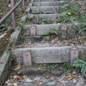 急な石段
息がきれます。