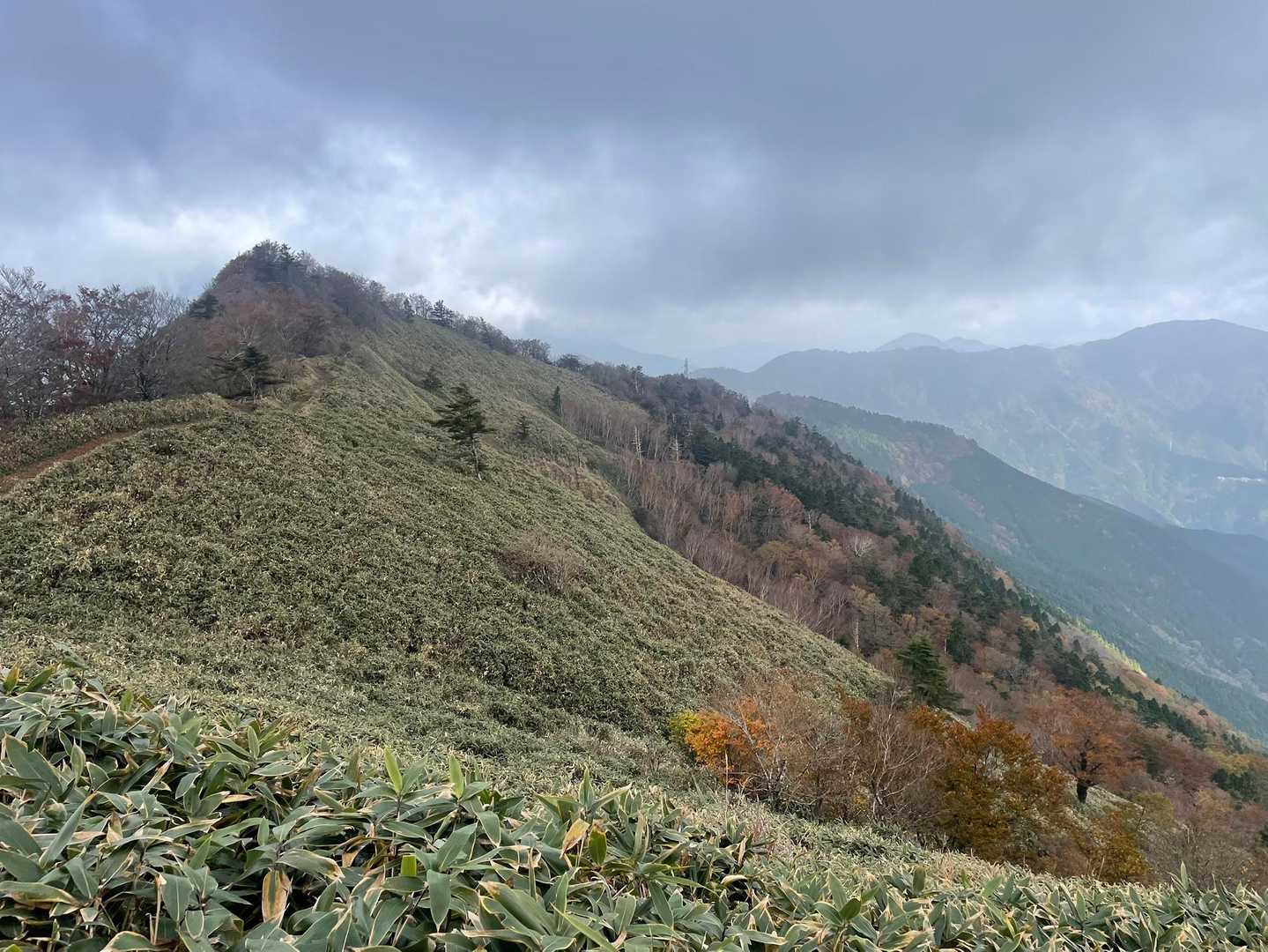 小麦畝登山口-平家平 往復コースの写真