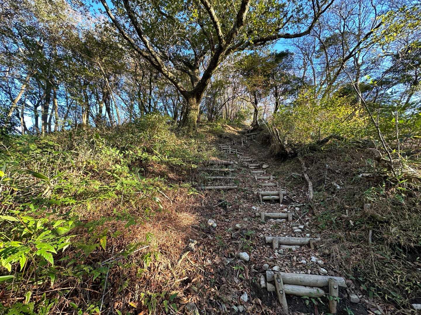 矢部越登山口-釈迦岳-御前岳-釈迦岳 周回コースの写真