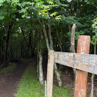 周回コースの上側は遊歩道みたい、かなり整備されてます。
下側の風穴辺りとは全然違う