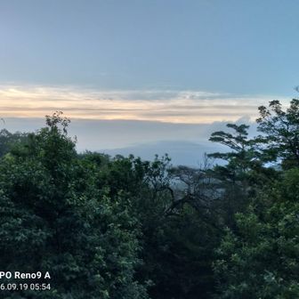 薄雲が架かった東の空