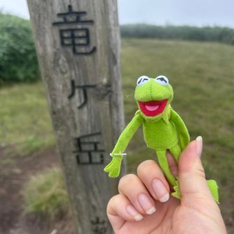 やはり何も見えなくなった竜ヶ岳山頂💦