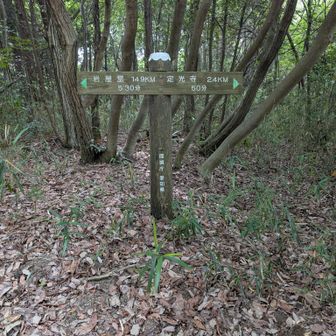 高根山山頂