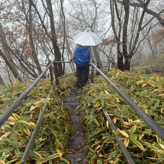 大沼コースでげっざ〜ん
階段が続く〜