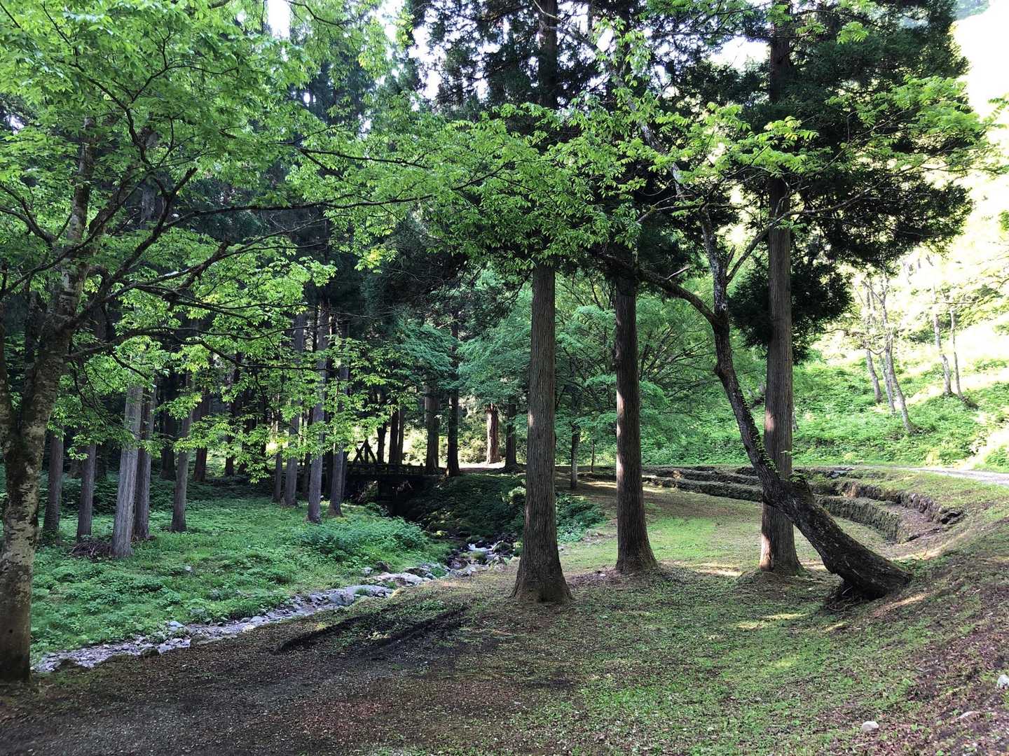陶石山-舟御光山- 志ゆう谷の頭-上新保峠 周回コースの写真