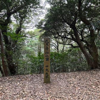 ３座目の孔大寺山⛰️
山頂は展望はありませんが、ちょっとした広場になってます。