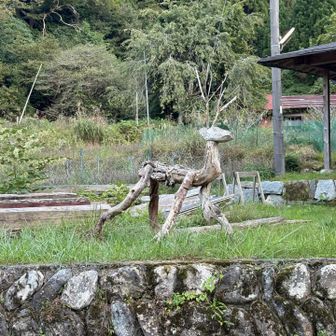 国道477号まで下りてきて無事帰還。累積標高はありますが、疲れの少ない山歩でした✨ 最後までご覧いただき感謝です🙇‍♂️