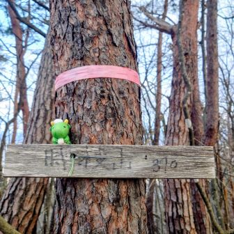 次々とトウチャコ
🚋山手線のよう🚋