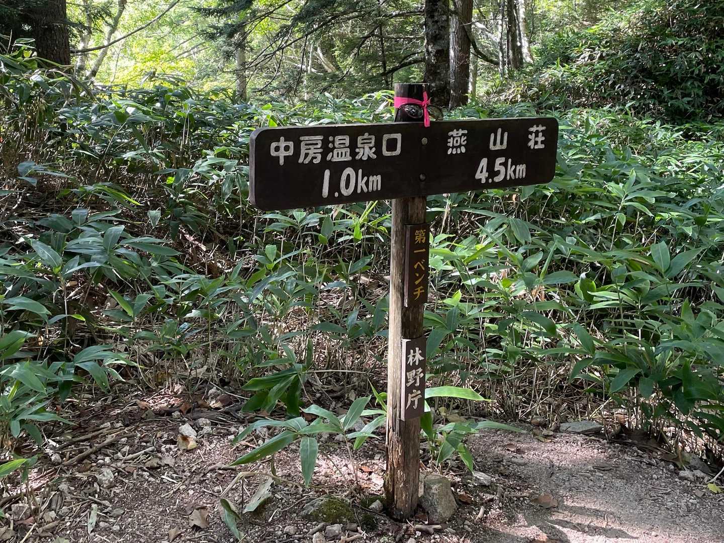 もうスタートして、第一ベンチ‼️
ここまでの感想は、とにかく歩く！ついていく！と思っているうちに着いちゃった😄
もうついた👍と言う感じ