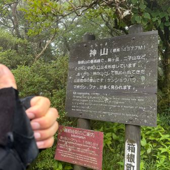 神山登頂。
1437mもあったの箱根www