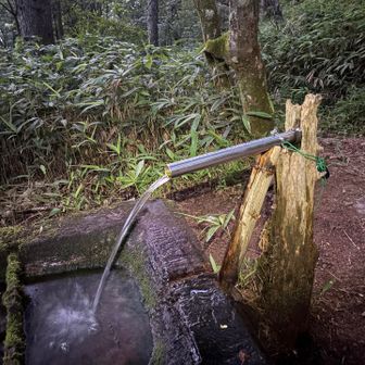 水はじゃぶじゃぶ
下山で生き返った