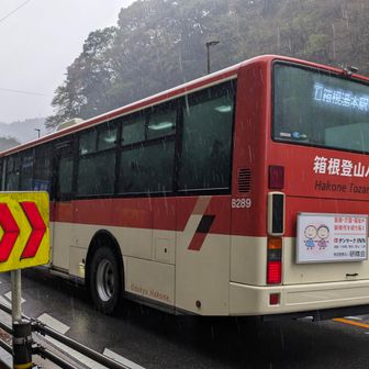 乗ったバスは目的地から離れて行く🚌
(スマホの検索結果を確認したら、何故か目的地が「小涌園」になってた😅)
そのまま「塔ノ沢バス停」で下車、マイカー移動に作戦変更🚙