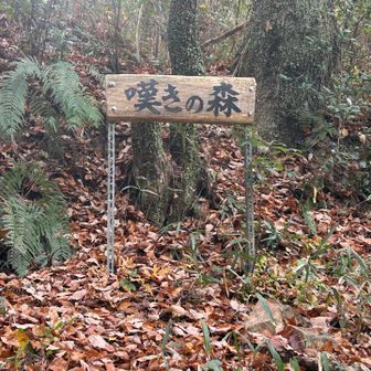 四万十川　鰹丸