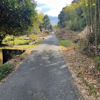 あとは駅まで一直線