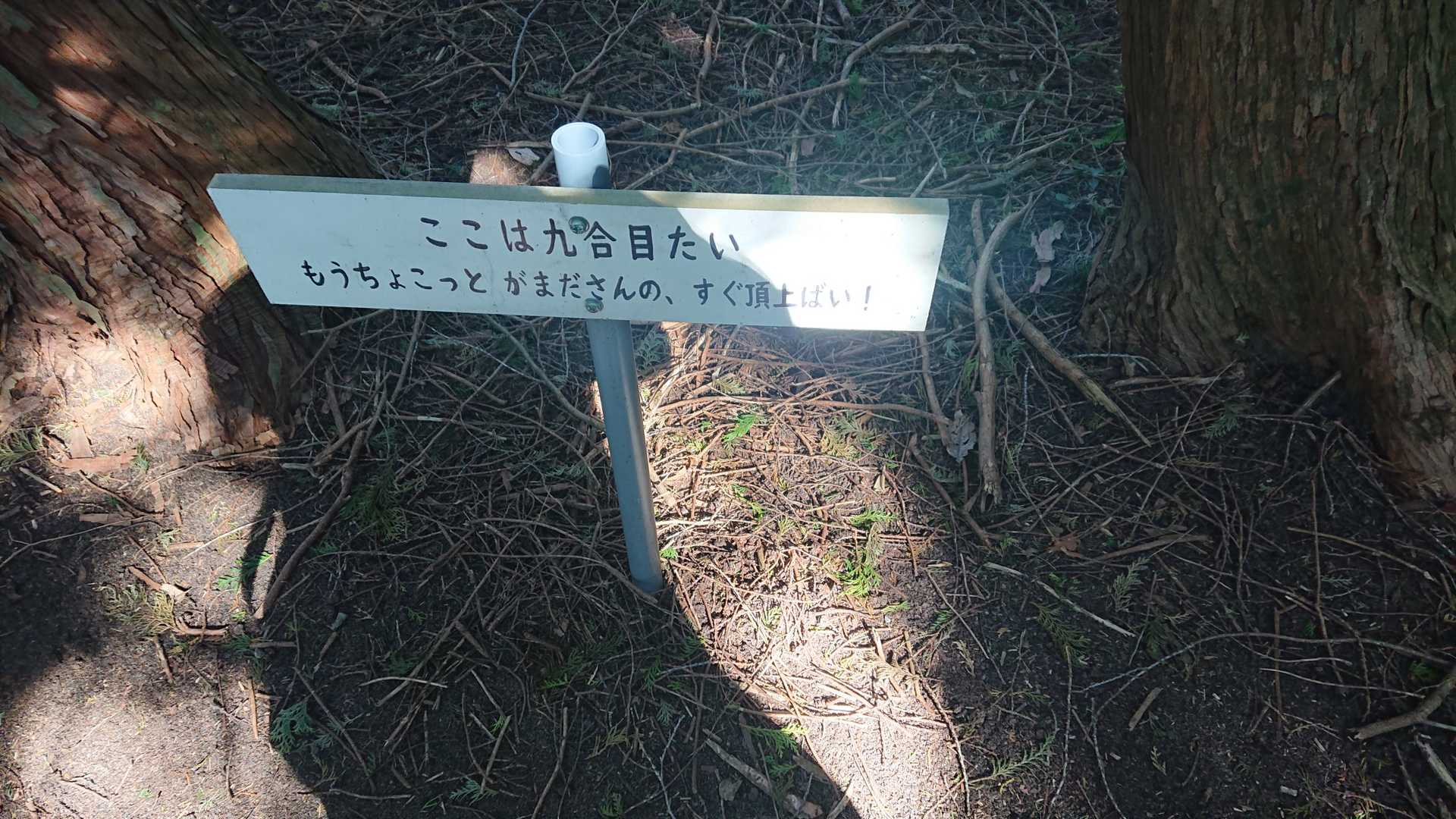 あと少し😲ほんとかよ