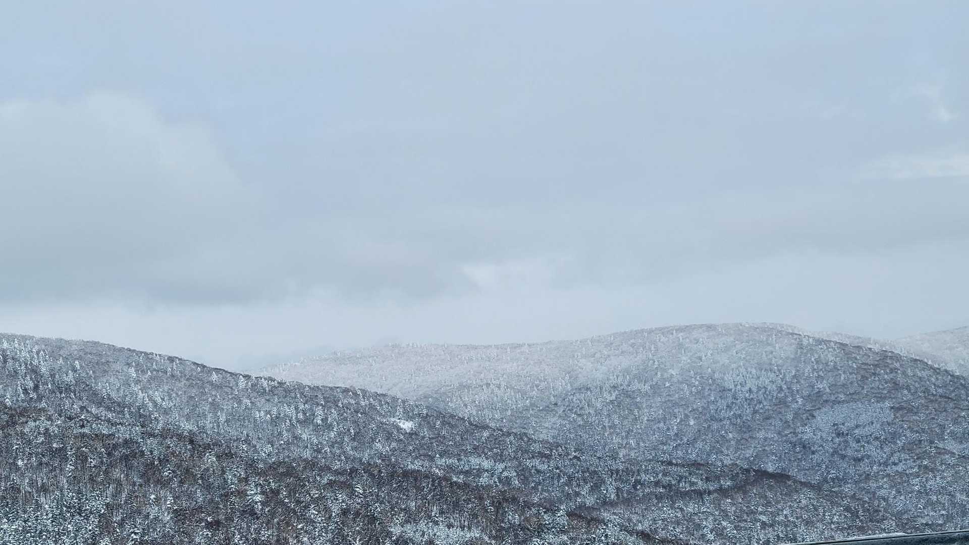 昨日は大雪山どーーーーん！だったみたいです。