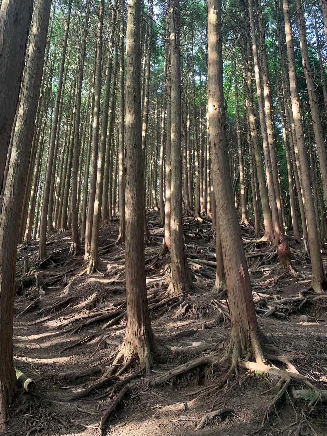 いい感じ😍