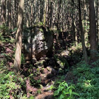 この辺りは超巨大岩がゴロゴロ