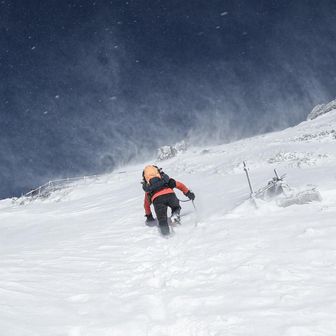 takumurata911@gmail.com