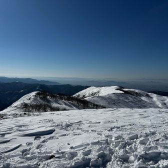 歩いて来たトレース