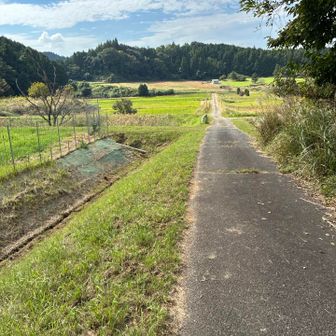 ながーく暑いアスファルト道🥵