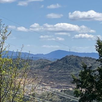 遥か猿投山👀
しばらくシャッターチャンスを待つ…