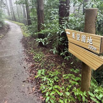 まずは展望園地を目指します。