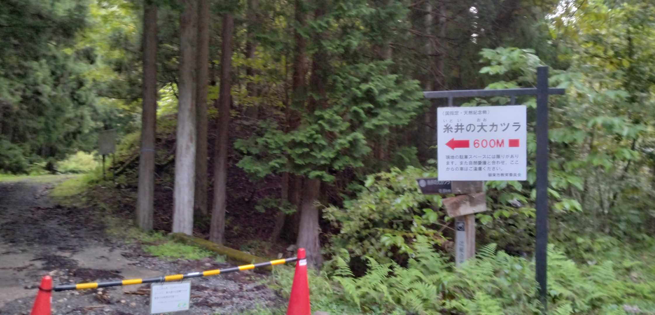 リハビリ登山がんばるぞ