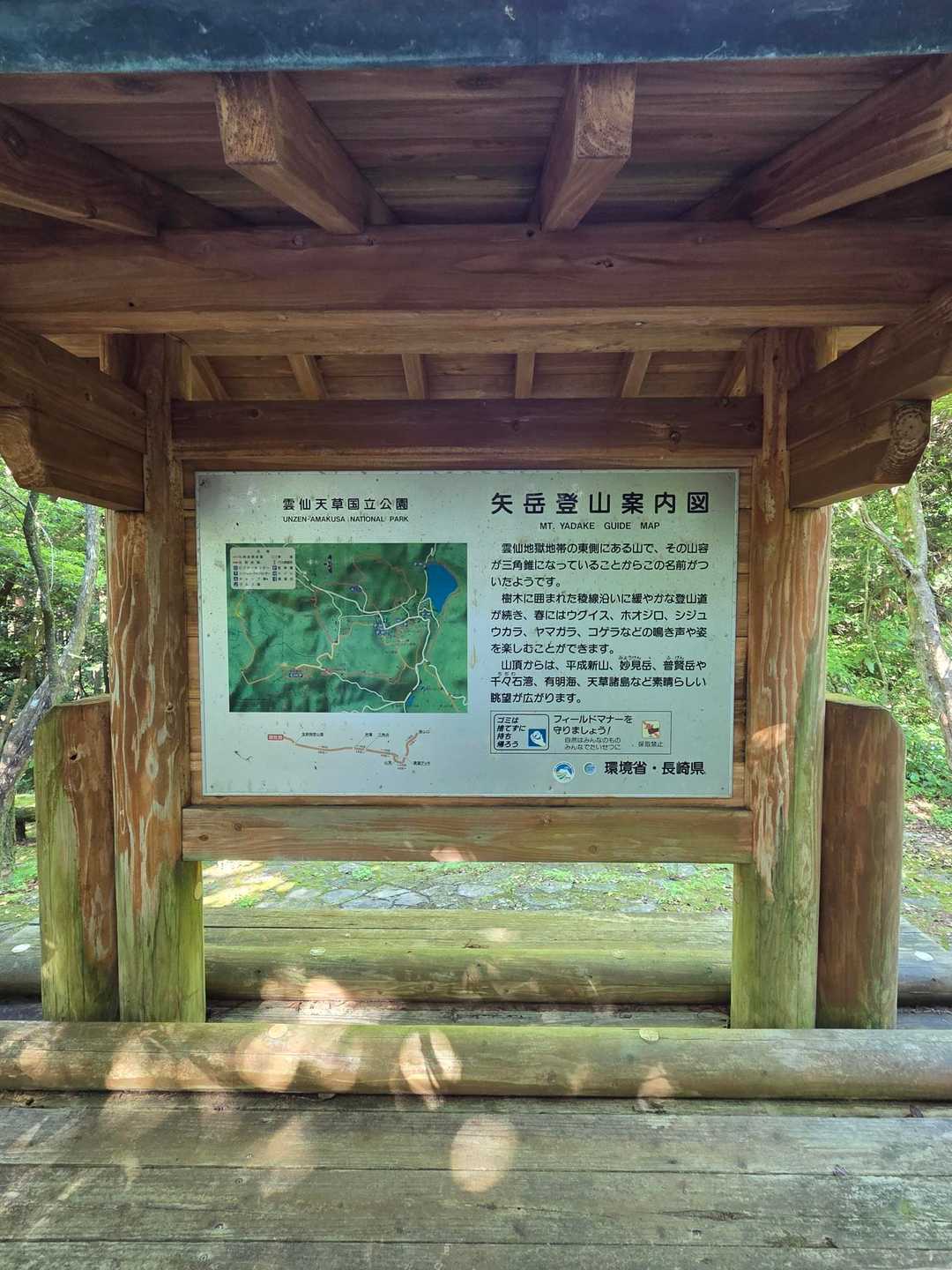 フムフム😎