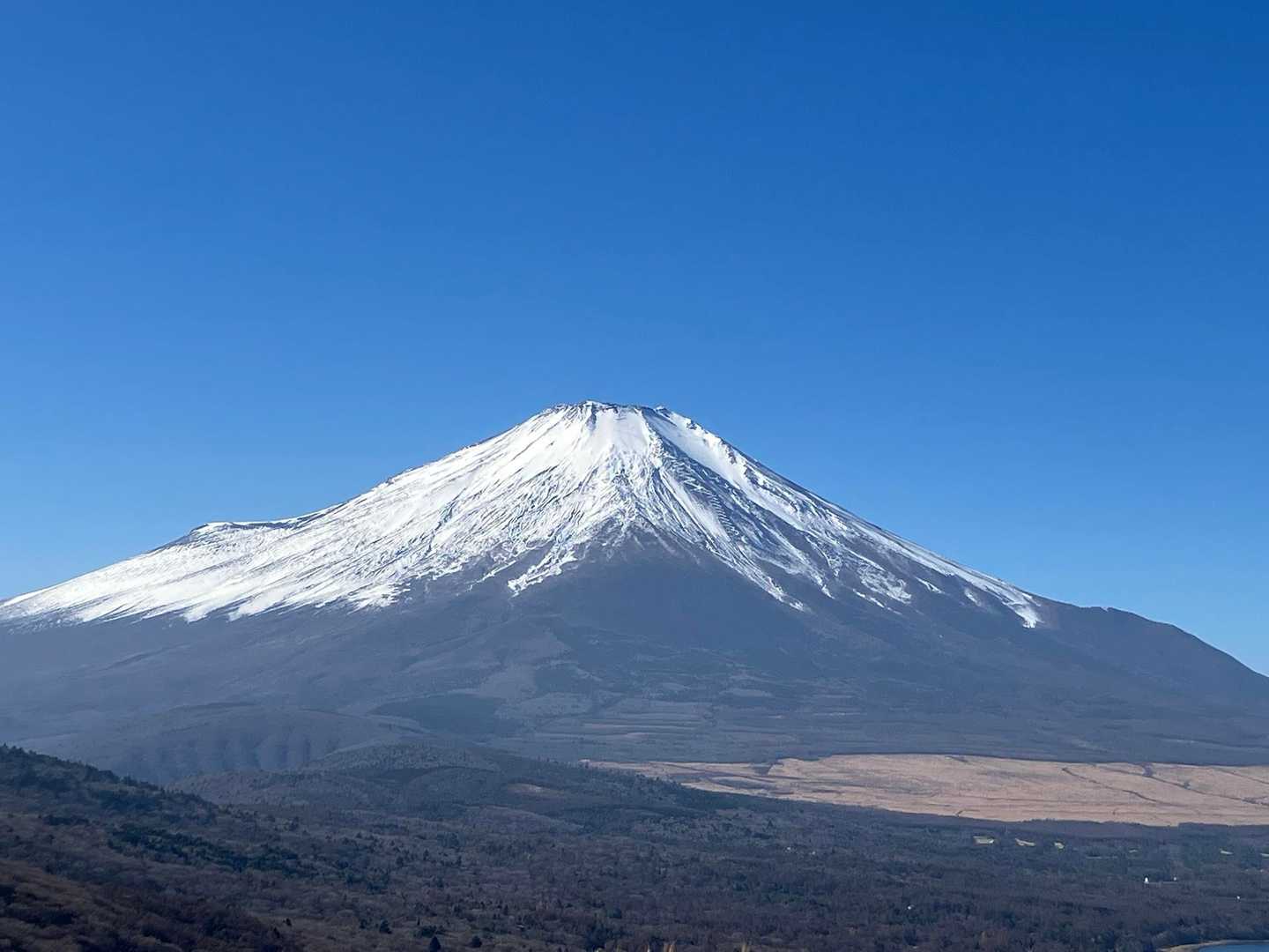 美しい✨