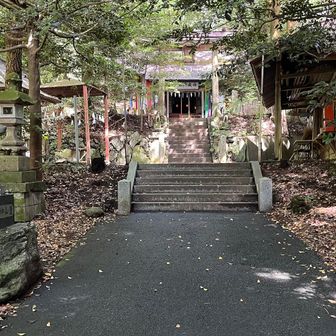 ここは狛犬に出迎えられて
本殿前で参拝
この神社にはたくさんの狛犬がいました
さすが日本武尊を助けたという伝説のある山です