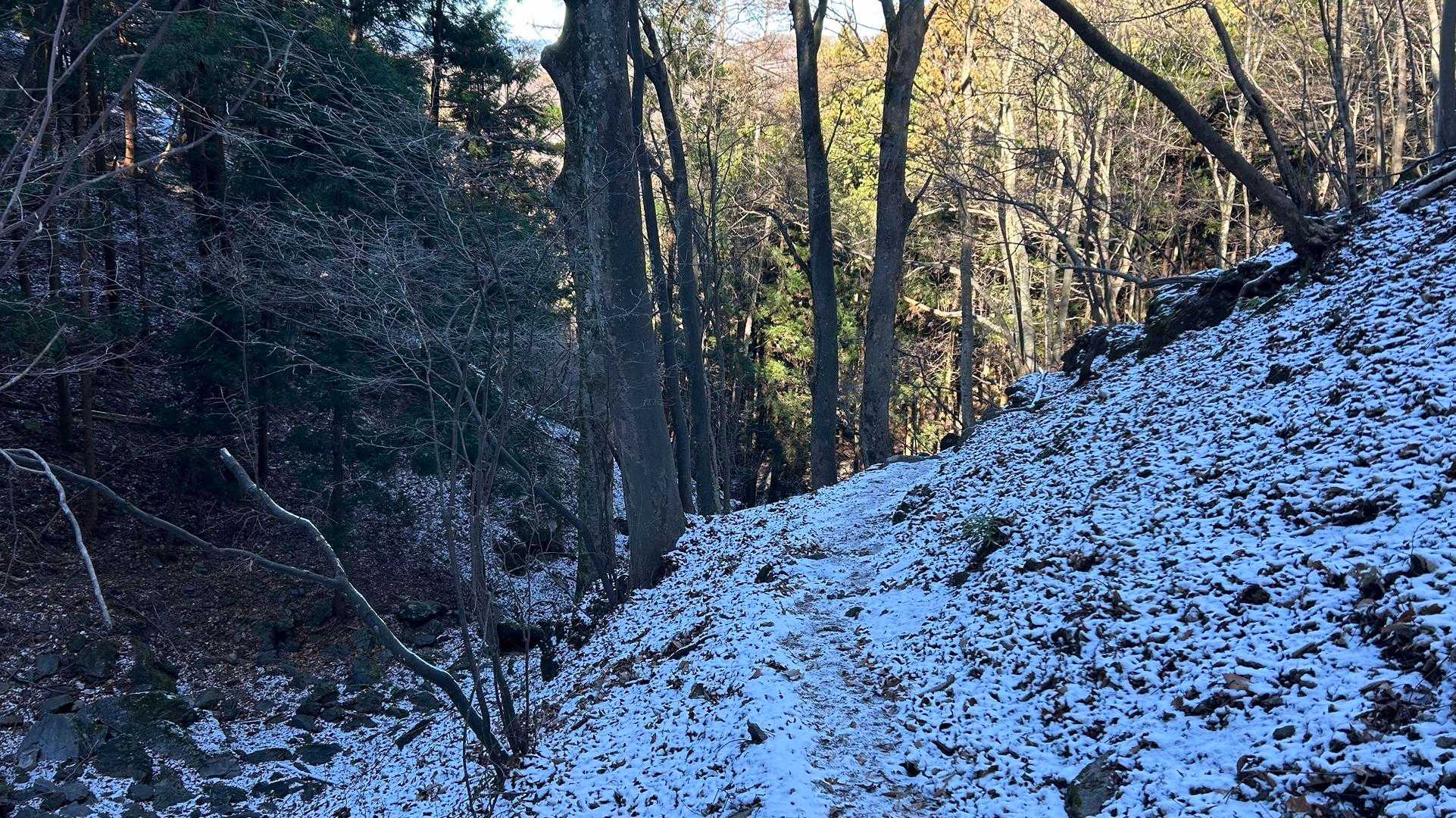 兵の沢コース登山口-二子山 往復コースの写真