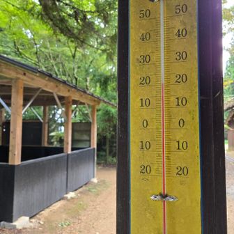 社務所前の温度計は21℃