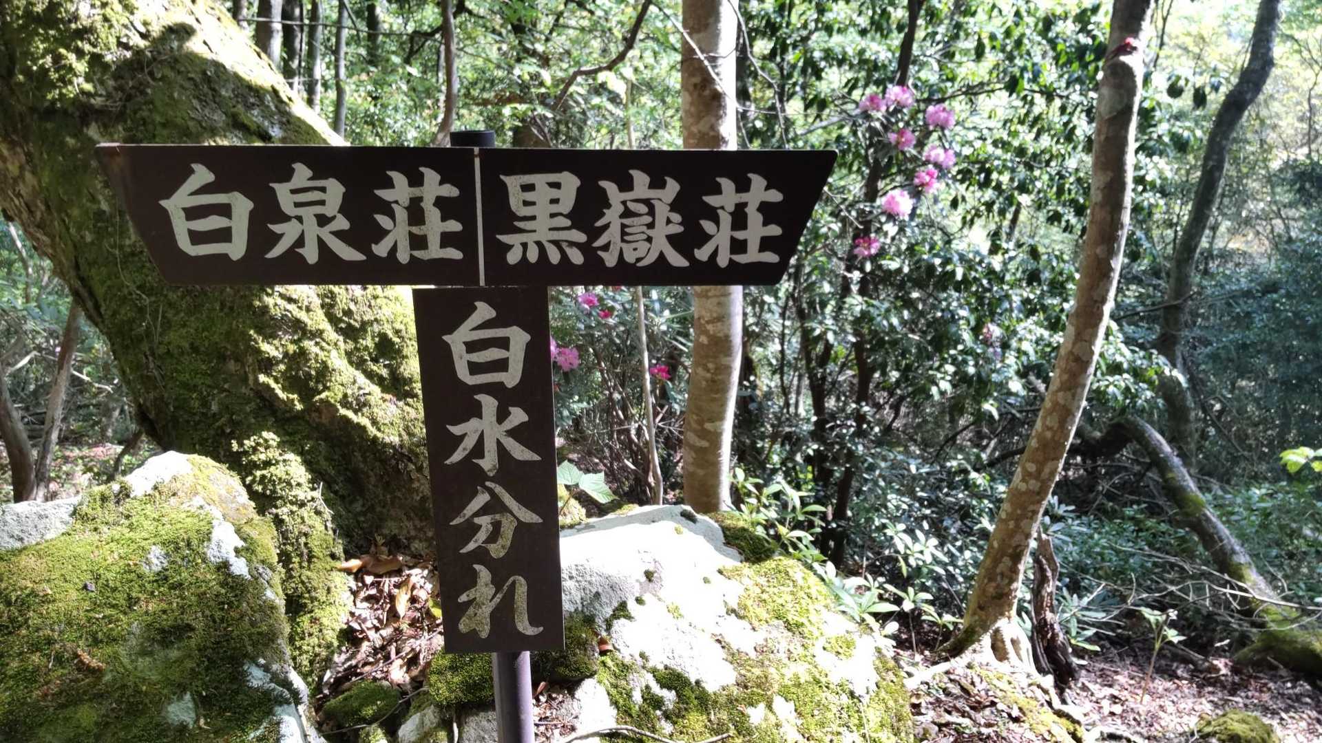 白水分かれに来ました。ここからは急登が続きます。