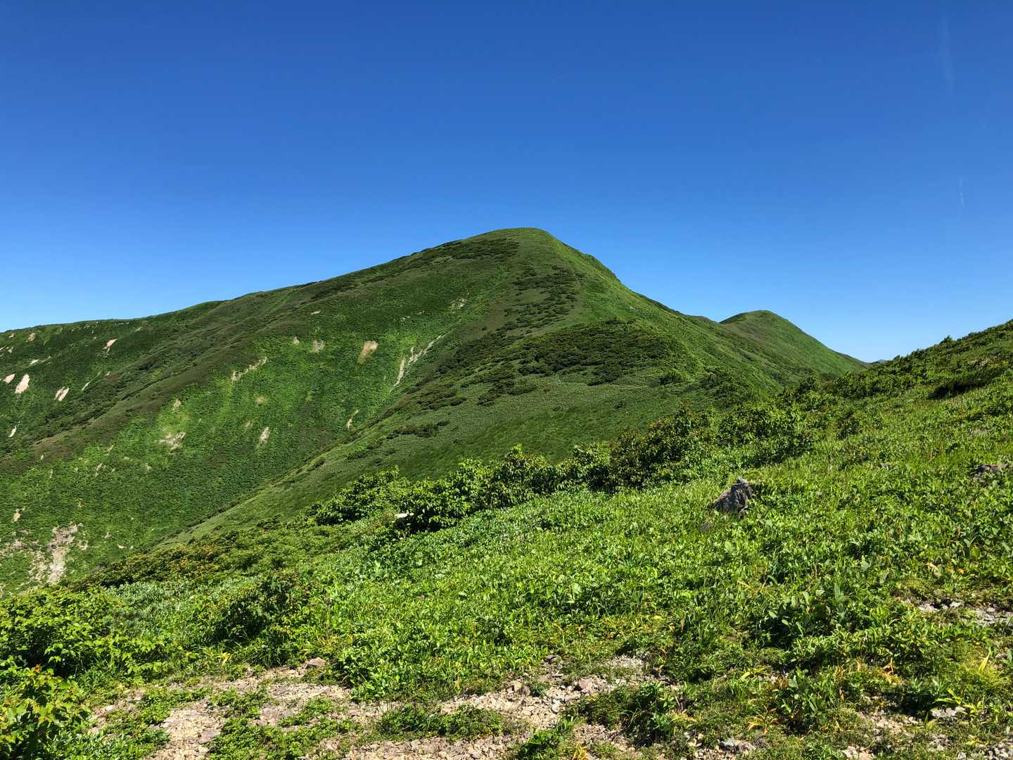 和賀岳山頂往復コースの写真