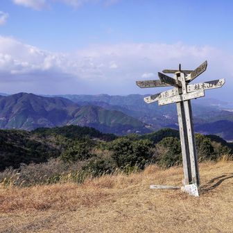 来てよかった♪