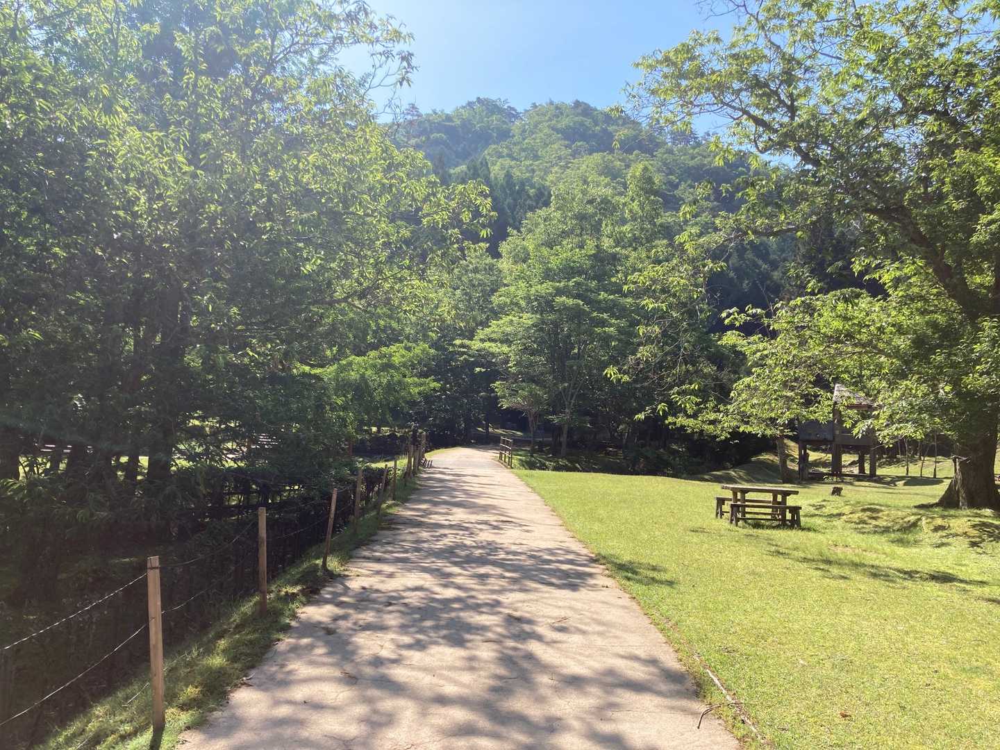 丹波篠山森公園から