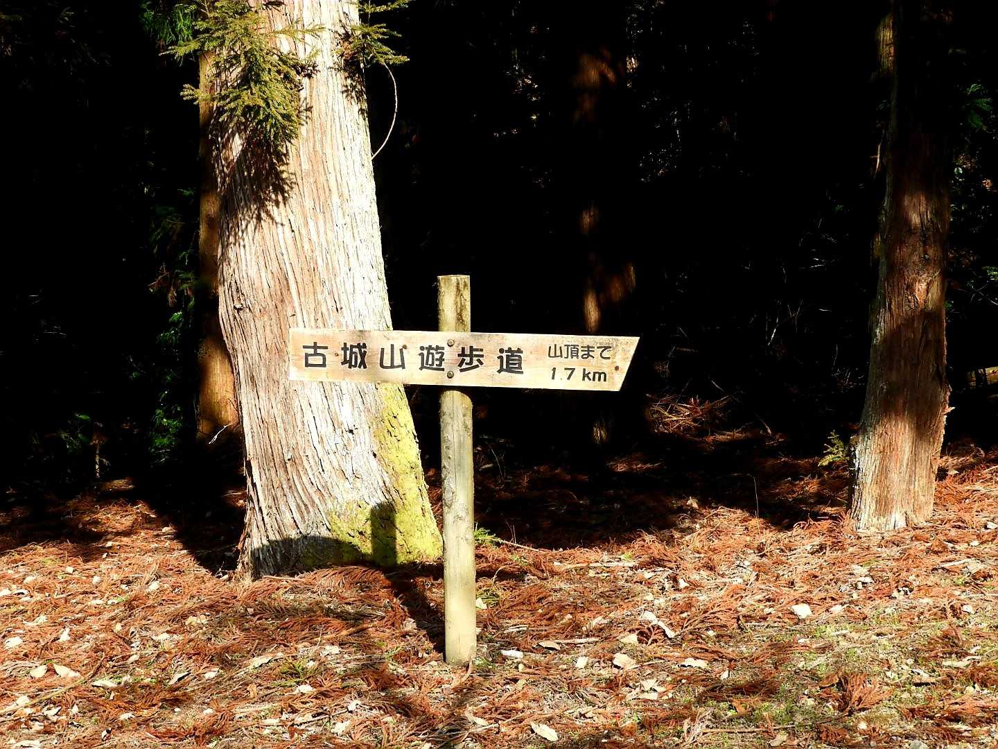 登山口まで下りて来ました😃