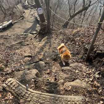 あっという間にお休み広場🕊️