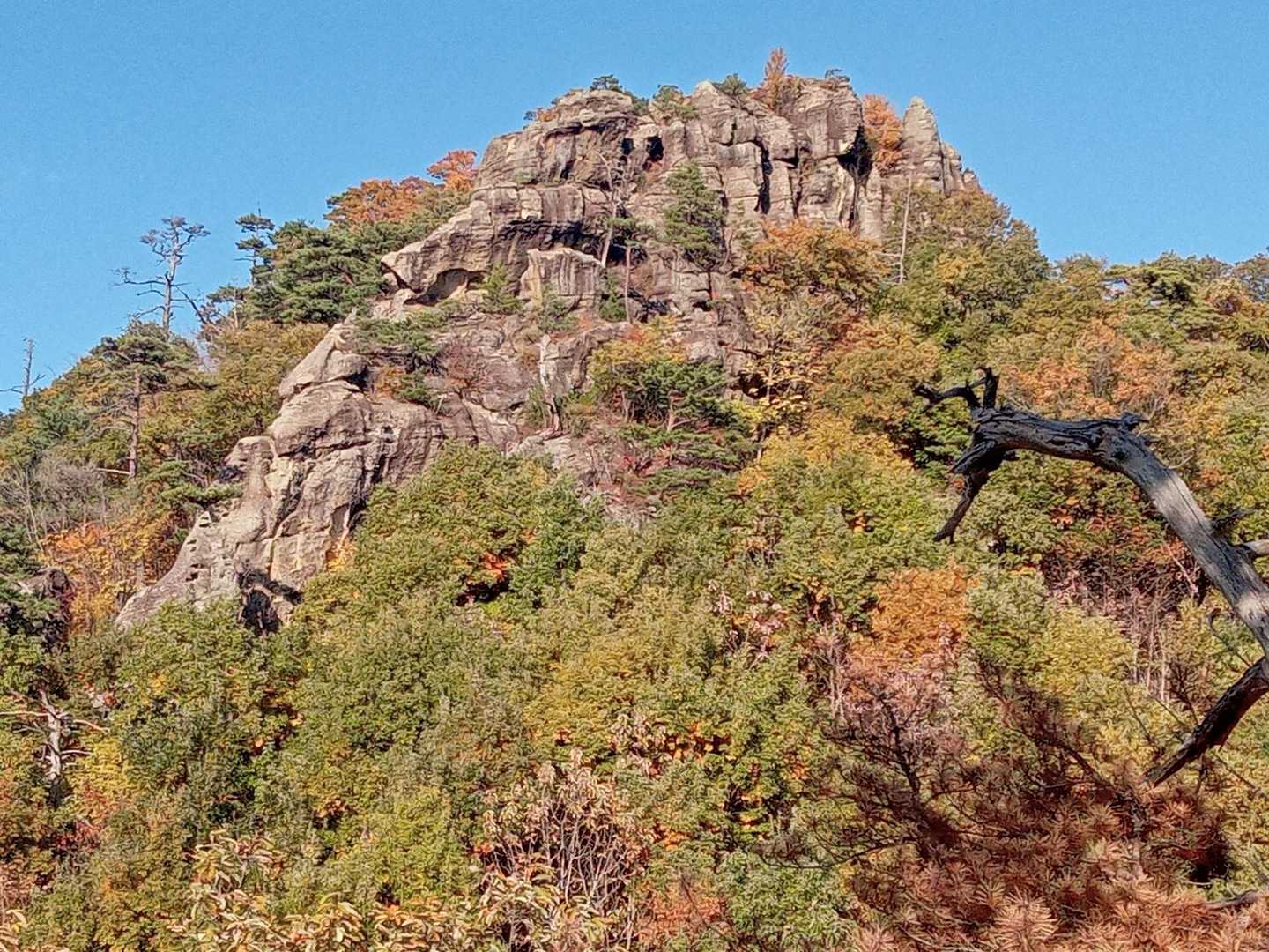 低いながらも、見事な岩山です。