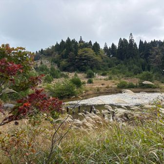 八雲ヶ原湿原
紅葉ちょっと
