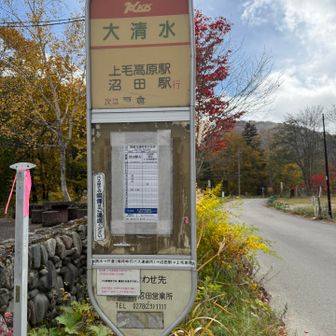 15:00までだいぶ時間あるので歩こうと決断。13:15にバスあったのね。。。