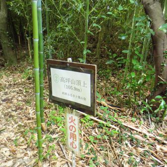 と思ったら山頂標識ありました