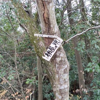 栃屋の頭。名札壊れたのはつい最近のよう。