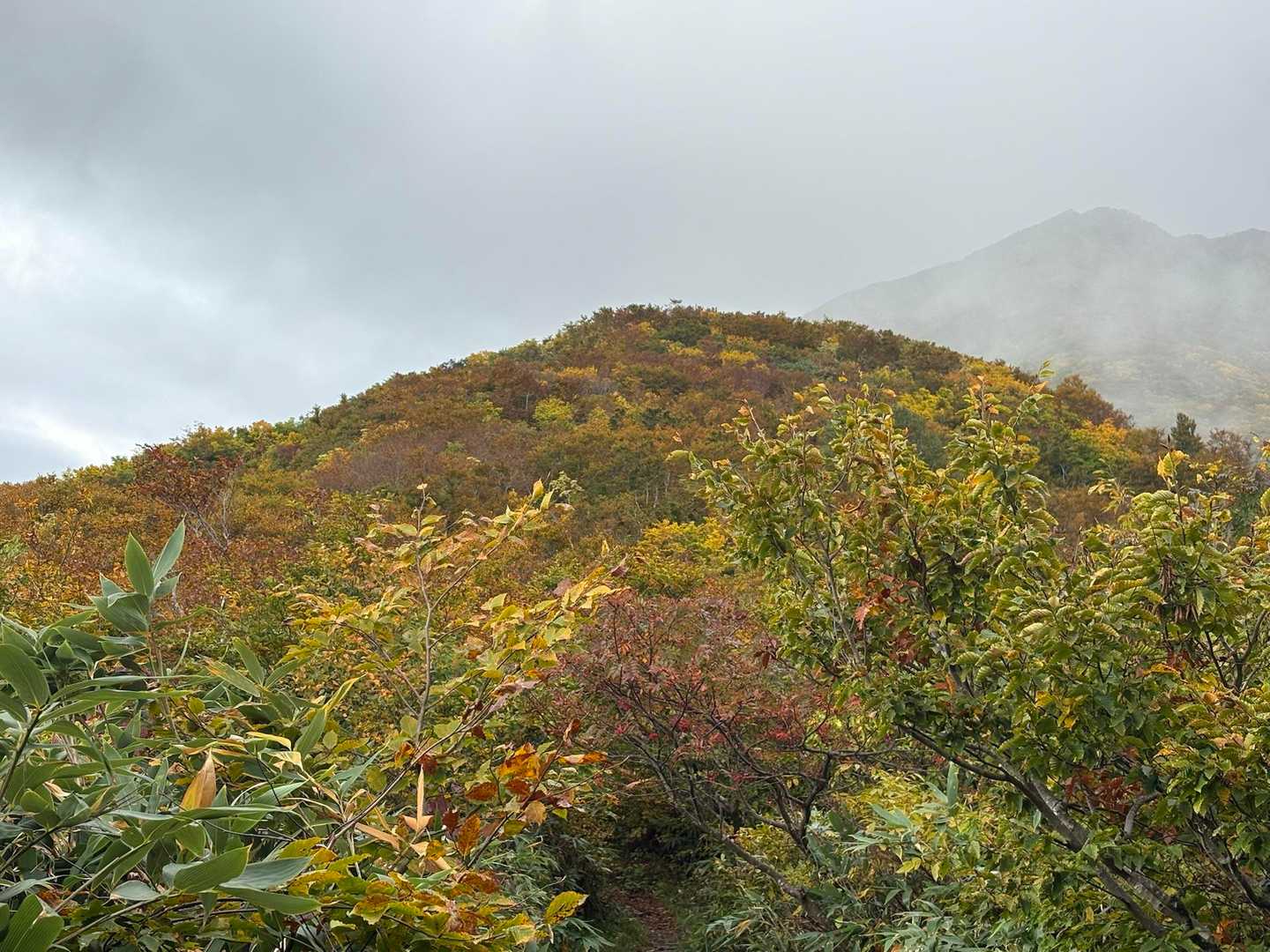 曇りの中でも紅葉🍁
