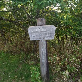 茶臼山山頂