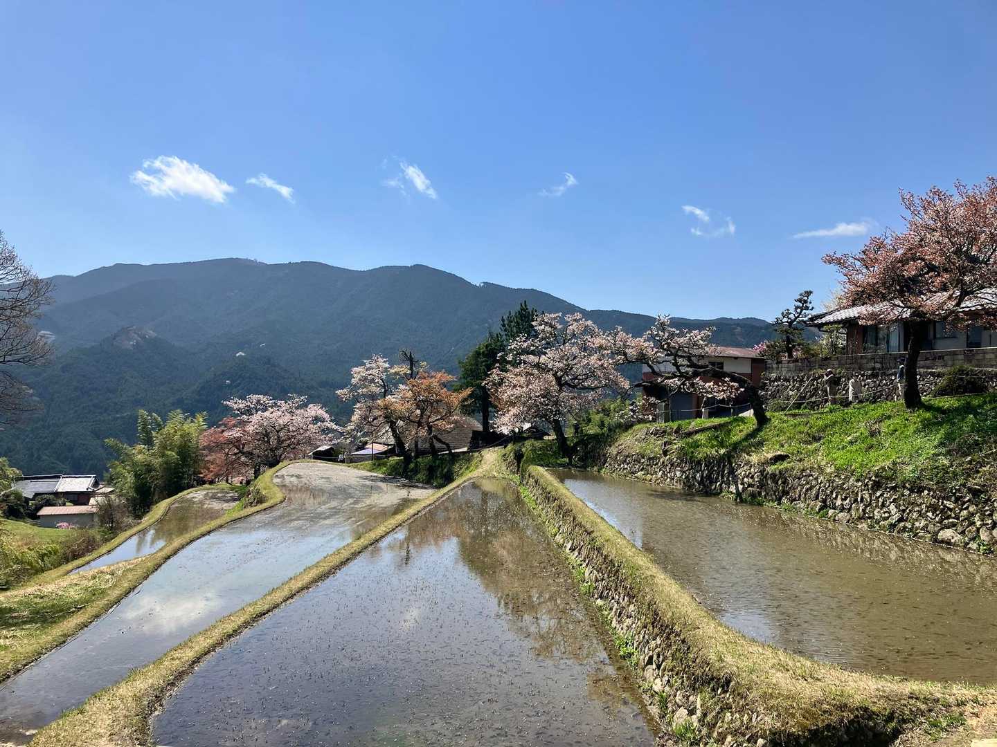 お天気になりました☀️